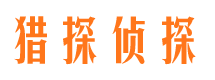 青冈市场调查